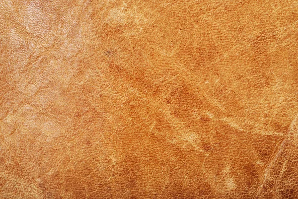 Natural leather texture background — Stock Photo, Image