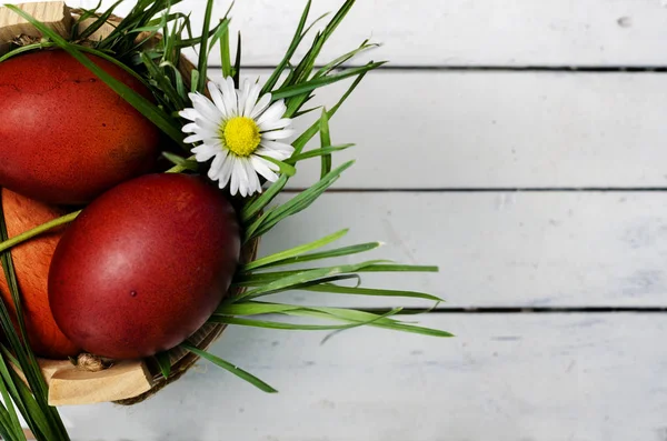 Huevos de Pascua en cesta —  Fotos de Stock