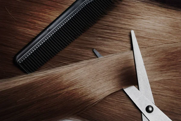 Equipo de pelo castaño y peinado — Foto de Stock