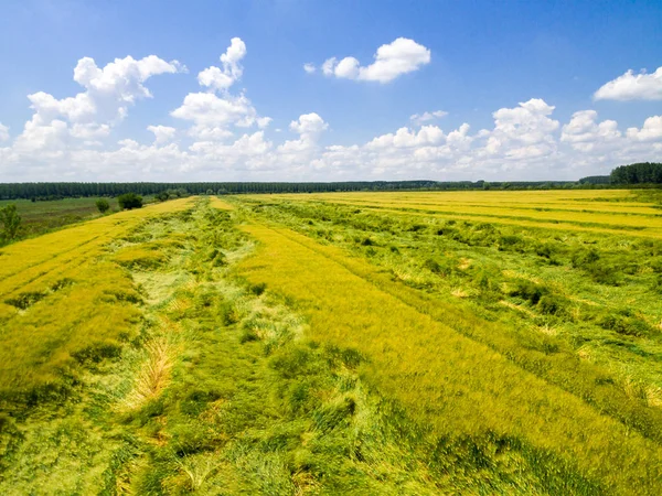 Rurale landschap formulier hierboven — Stockfoto