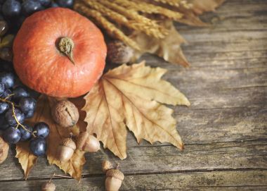 Şükran kabak tasarım