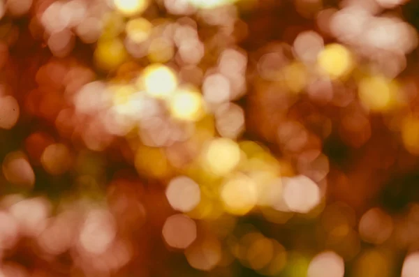 Abstract christmas blur background — Stock Photo, Image