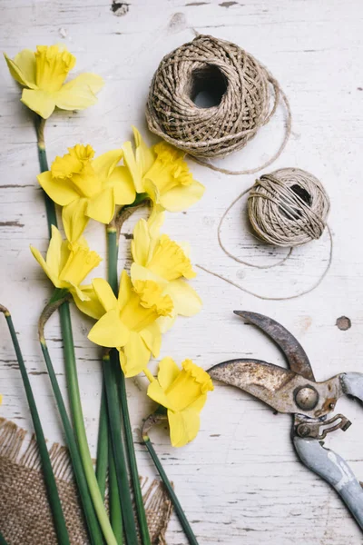 Flores de primavera de jardim — Fotografia de Stock