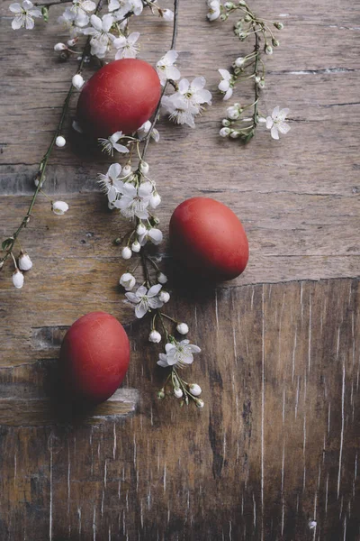 Ovos de Páscoa e flor de primavera — Fotografia de Stock