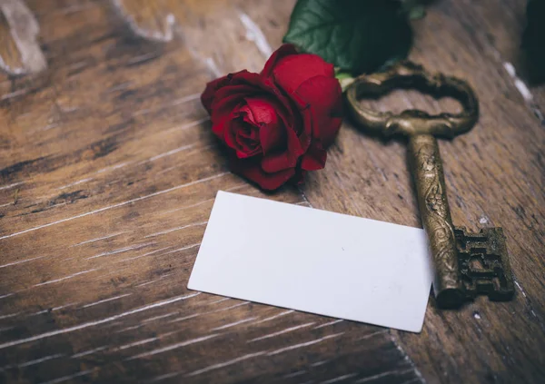 Valentine day card — Stock Photo, Image