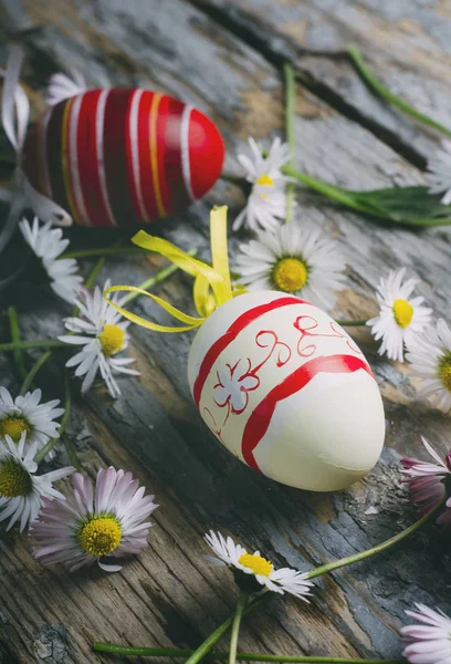 Huevos de Pascua y flor de margarita — Foto de Stock