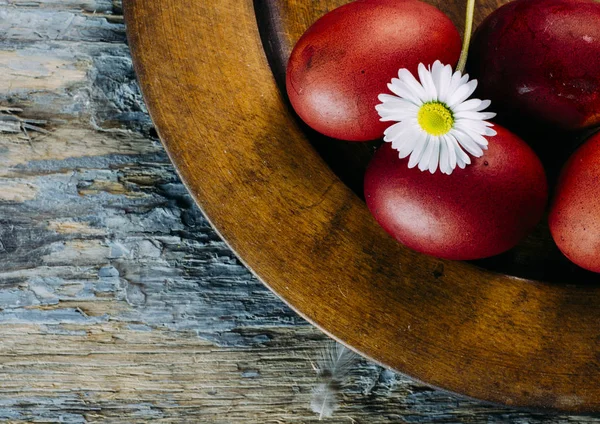 Uova di Pasqua e fiori di margherita — Foto Stock