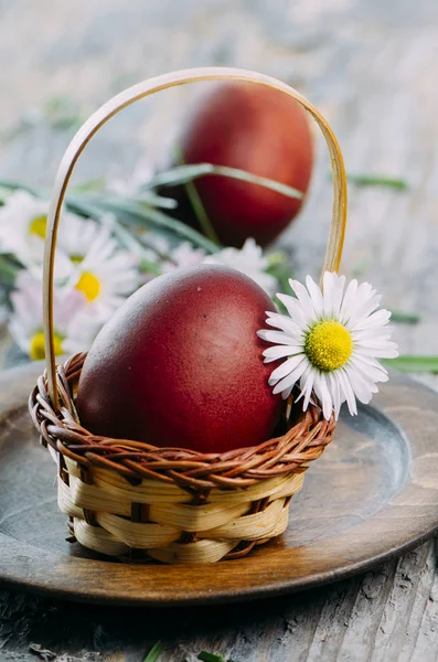 Huevos de Pascua y flor de margarita — Foto de Stock