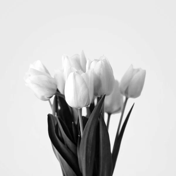 Schwarz Weißes Bouquet Von Tulpenstrauß Kreatives Modernes Florales Stillleben — Stockfoto