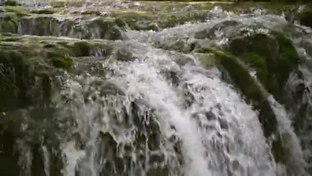 Cachoeira Nascente Água Doce Floresta Montanha Cascata Água Natureza — Vídeo de Stock