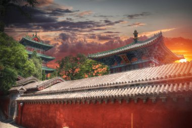 Shaolin orta Çin Budist manastırda olduğunu.