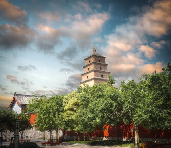 Nagy pagoda vadlibák Xi 'an — Stock Fotó