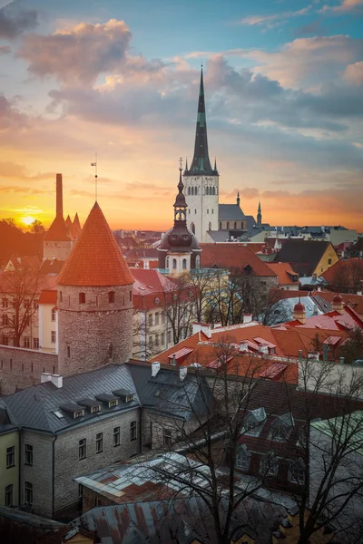 Vackra bilder om Tallinn — Stockfoto