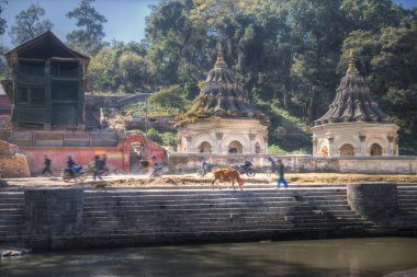 Pashupatinath Tapınağı