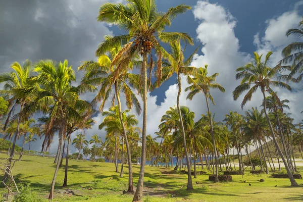 Praia Ilha de Páscoa — Fotografia de Stock