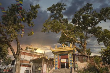  Bodhnath Stupa