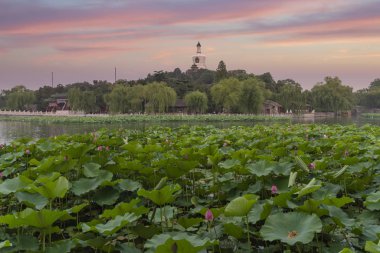 Beihai parkıdır bir imparatorluk Bahçesi
