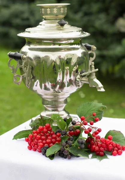 Russian samovar on the table. Saucer and cup. Red viburnum, black viburnum