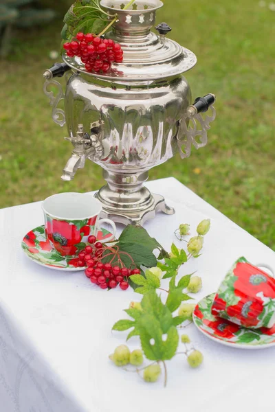 Russian samovar on the table. Saucer and cup. Red viburnum