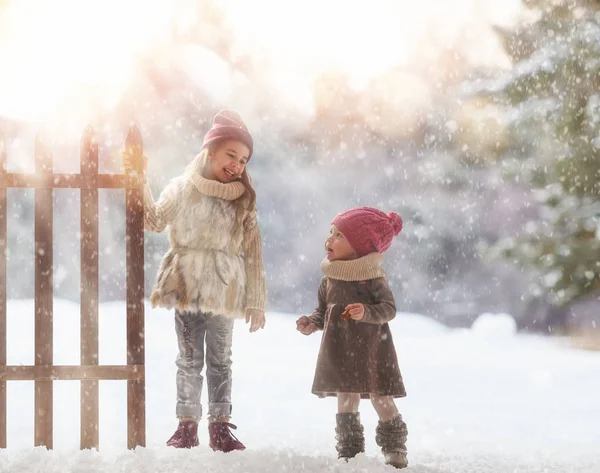 Meninas jogando em uma caminhada de inverno — Fotografia de Stock