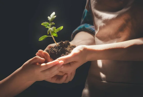 Adulto e criança segurando broto verde . — Fotografia de Stock