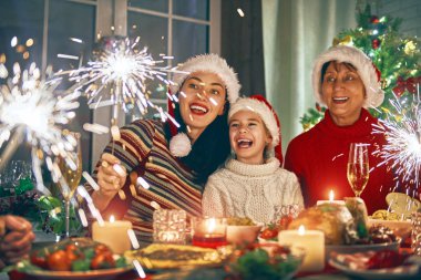 Aile Noel kutluyor.
