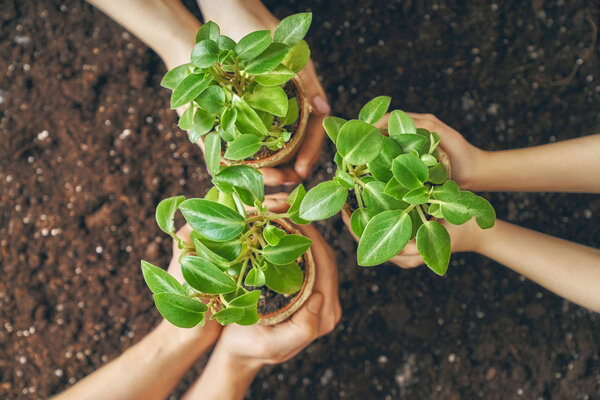 Взрослые и дети держат саженцы
