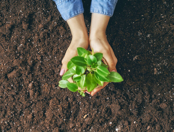 Человек с зеленой капустой
.