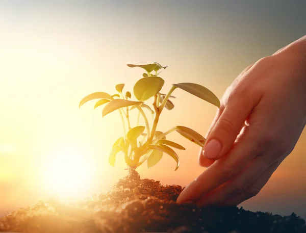 Concept of earth day. — Stock Photo, Image