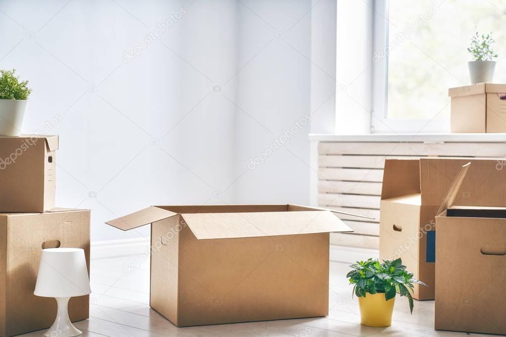 Cardboard boxes in room