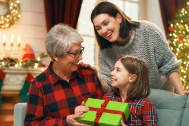 Aile Noel kutlaması