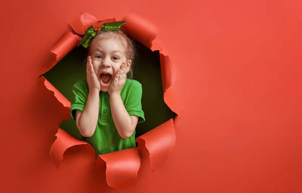 Duende do Papai Noel em fundo de cor brilhante — Fotografia de Stock