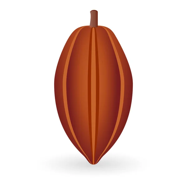 Haba de cacao aislada — Vector de stock