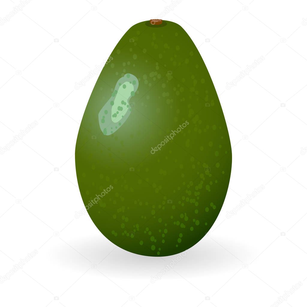 Avocado Icon Vector