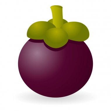 İzole mangosteen vektör