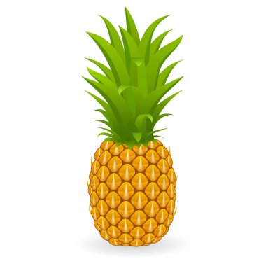 İzole ananas vektör