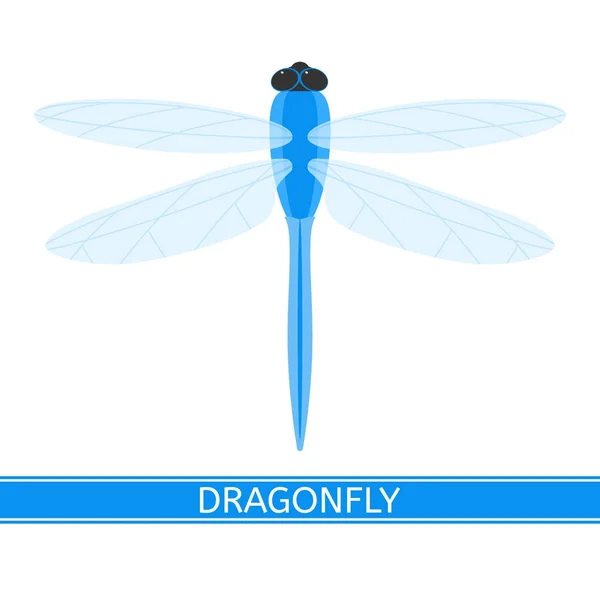 Dragonfly Icon Vector — Stock Vector