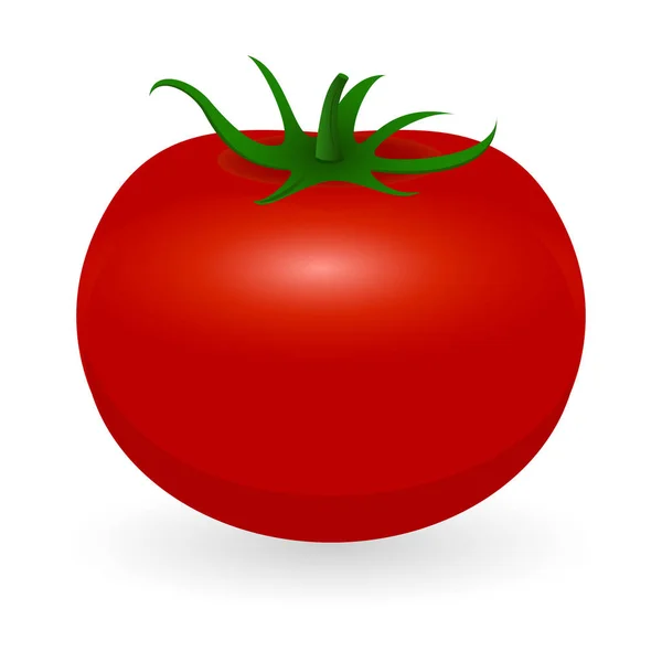 Vecteur de tomate isolé — Image vectorielle