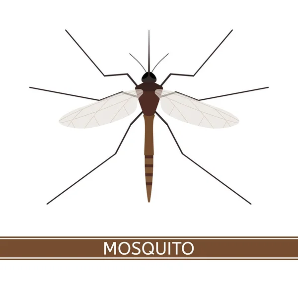 Mosquito Icon Vector — Stock Vector