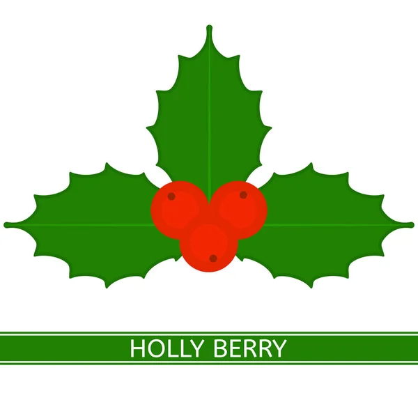 Holly Berry aislado — Vector de stock