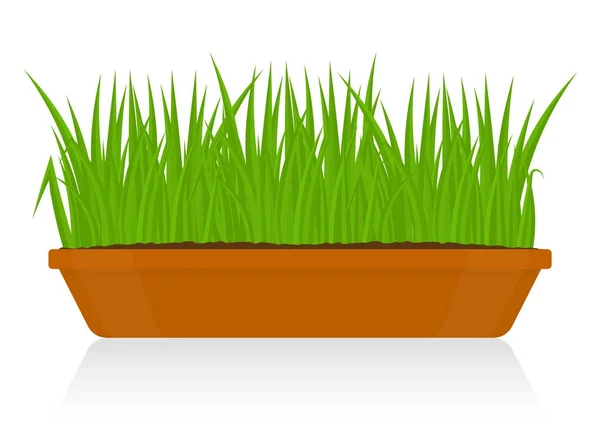 Зеленая трава в глиняный горшок изолированные Лицензионные Стоковые Иллюстрации