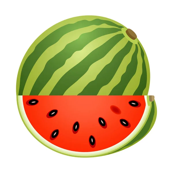 Wassermelone mit Scheibe isoliert auf weiß — Stockvektor