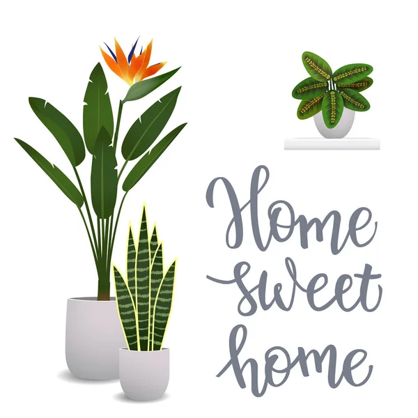 Zimmerpflanze und handgeschriebener Originaltext home sweet home — Stockvektor