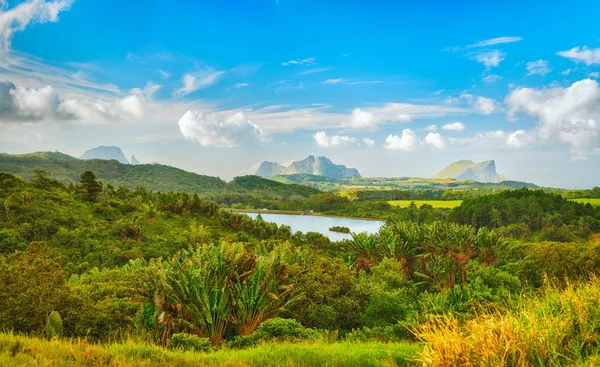 Göl ve dağ manzarası. Mauritius. Panorama — Stok fotoğraf