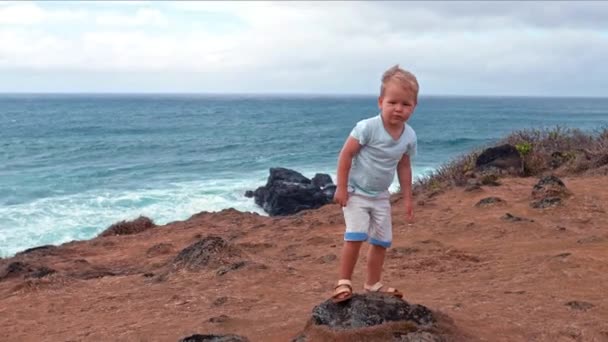 Cute boy jumping off the boulder slow motion — Stock Video