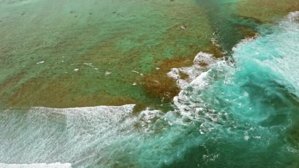 Vista aérea dos recifes de coral — Vídeo de Stock