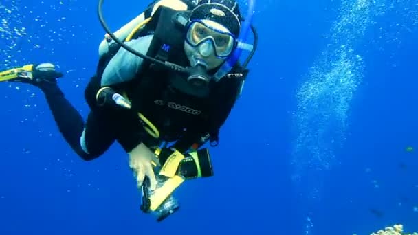 BUNAKEN, SULAWESI/INDONESIA - CIRCA SEPTEMBER/2012: Scuba diver makes OK sign — Stock Video