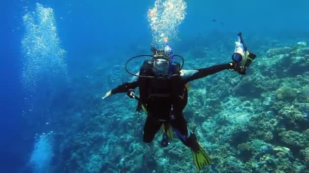 BUNAKEN, SULAWESI / INDONESIA - CIRCA SEPTEMBER / 2012: Scuba diver ascend — стоковое видео