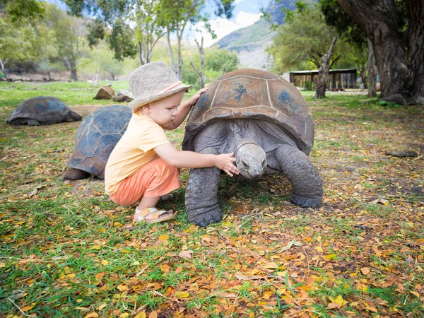 Żółw olbrzymi i dziecko — Zdjęcie stockowe
