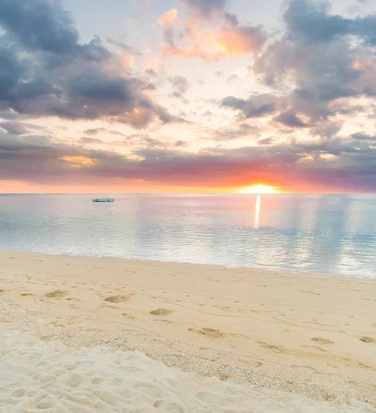 Plage tropicale de sable . — Photo